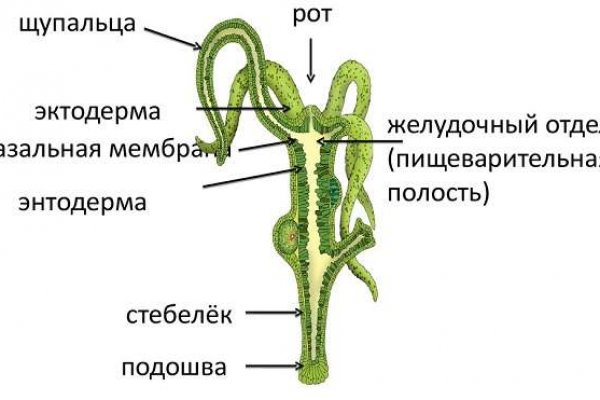 Кракен зеркало сегодня