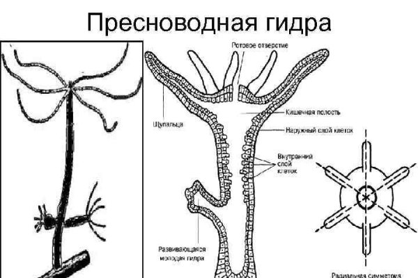 Кракен шоп ссылки